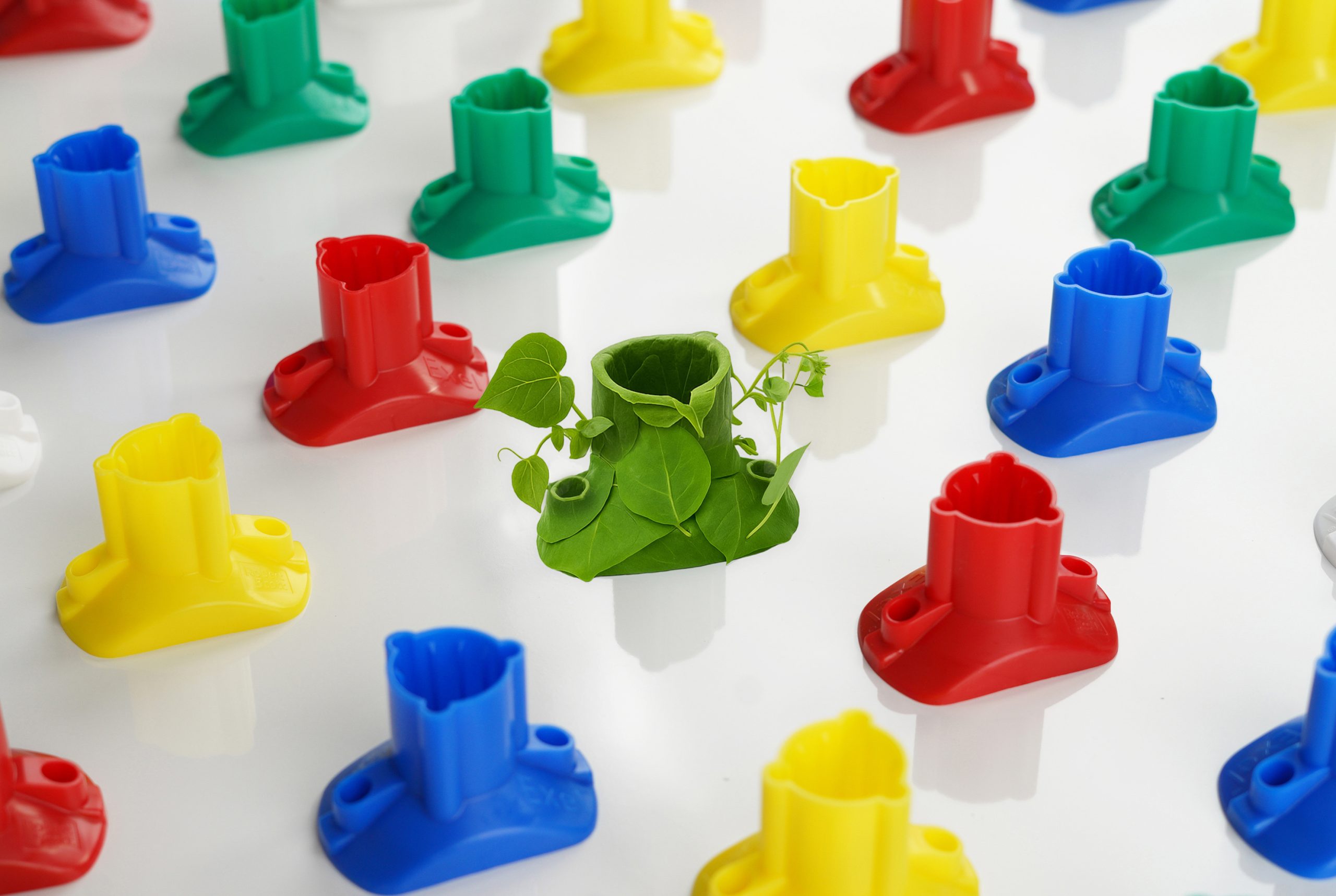 Robert Scott introduces industry-first biodegradable socket mop technology